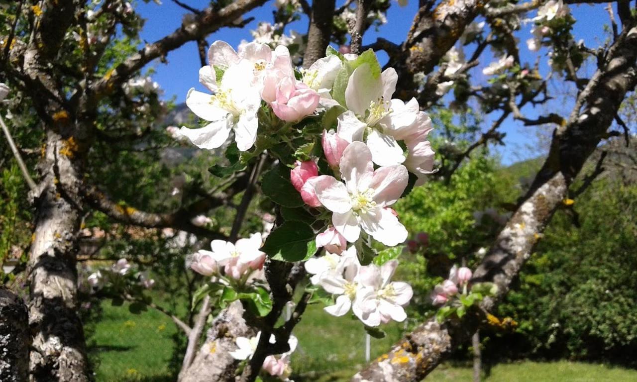 Bnb Castellane Chambre D'Hotes B&B Bagian luar foto